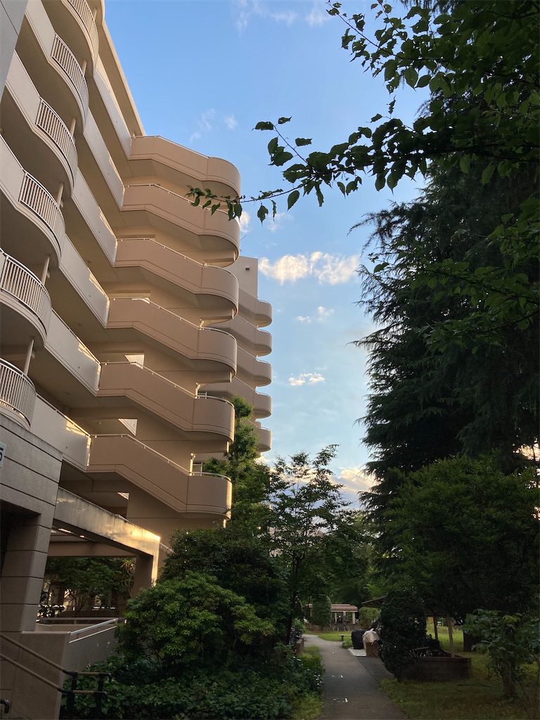f:id:meymon:20260629204901j:image