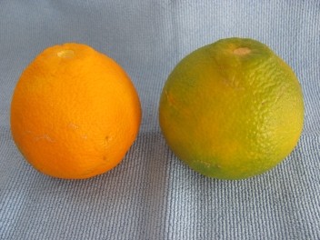 20121110234643