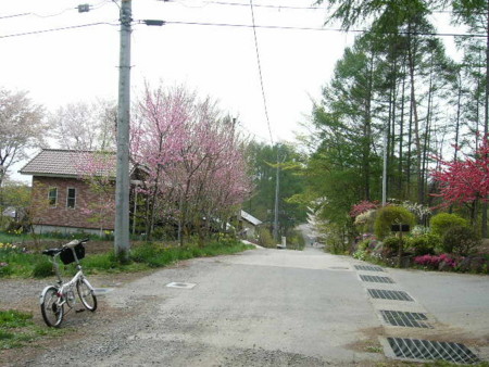f:id:mf-fagott:20090503134140j:image f:id:mf-fagott:20090503134140j:image