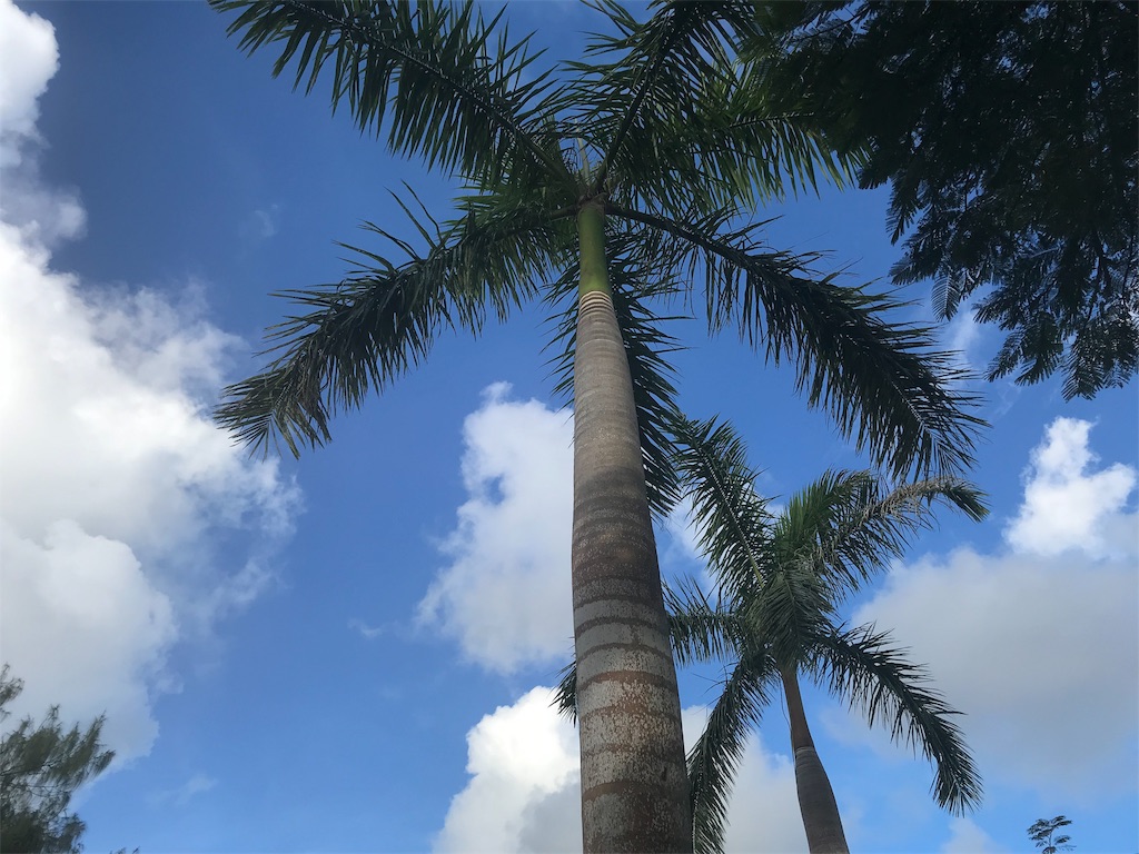 f:id:mf1208:20190718213641j:image