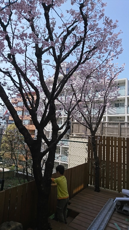 f:id:mfchelseaqueen:20190324083923j:plain