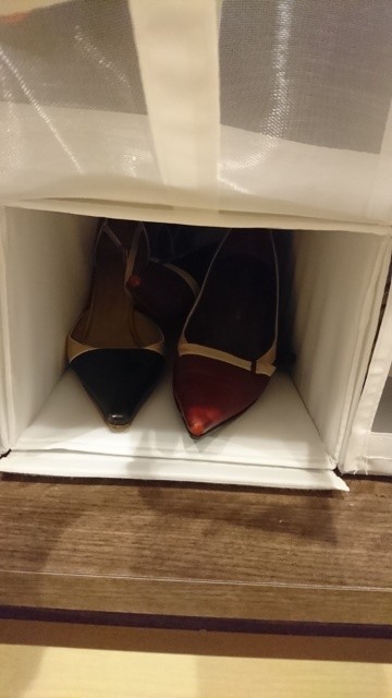 f:id:mfchelseaqueen:20190417062738j:image