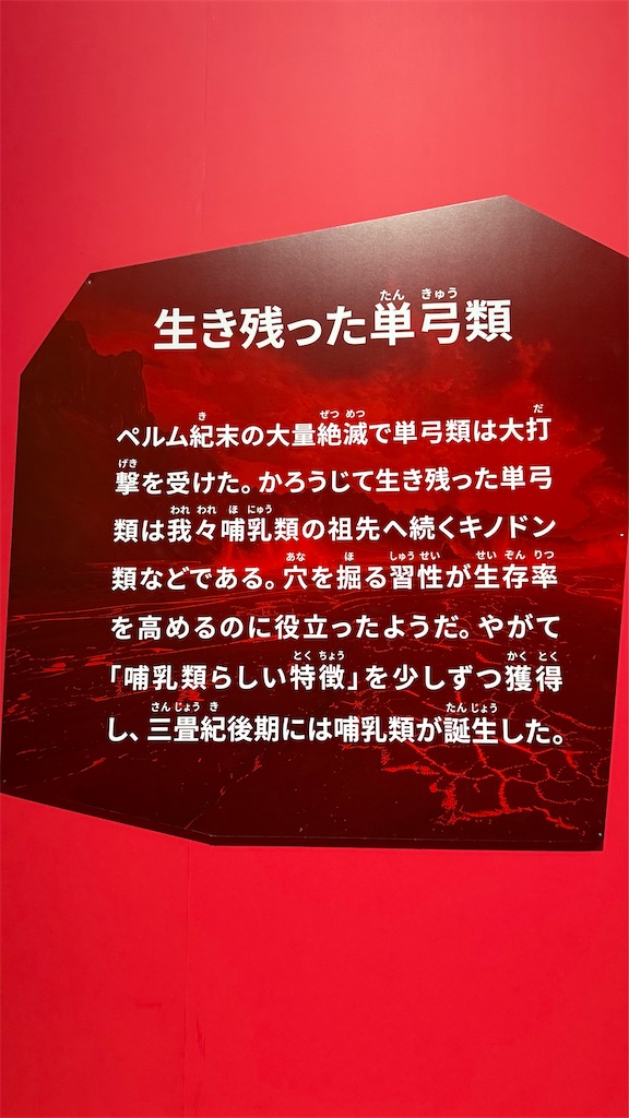 f:id:mfelice001:20260108084616j:image
