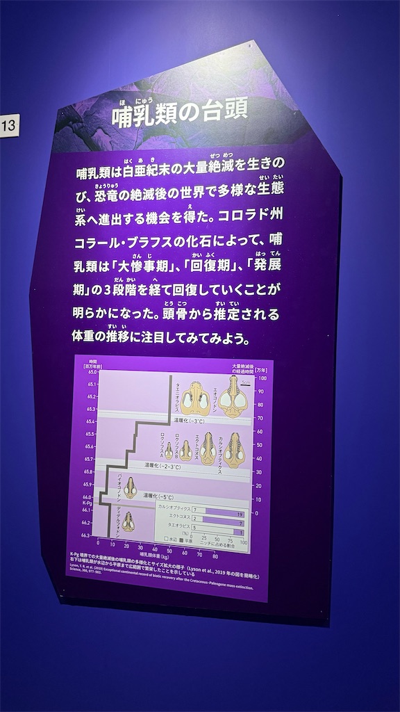 f:id:mfelice001:20260108084640j:image