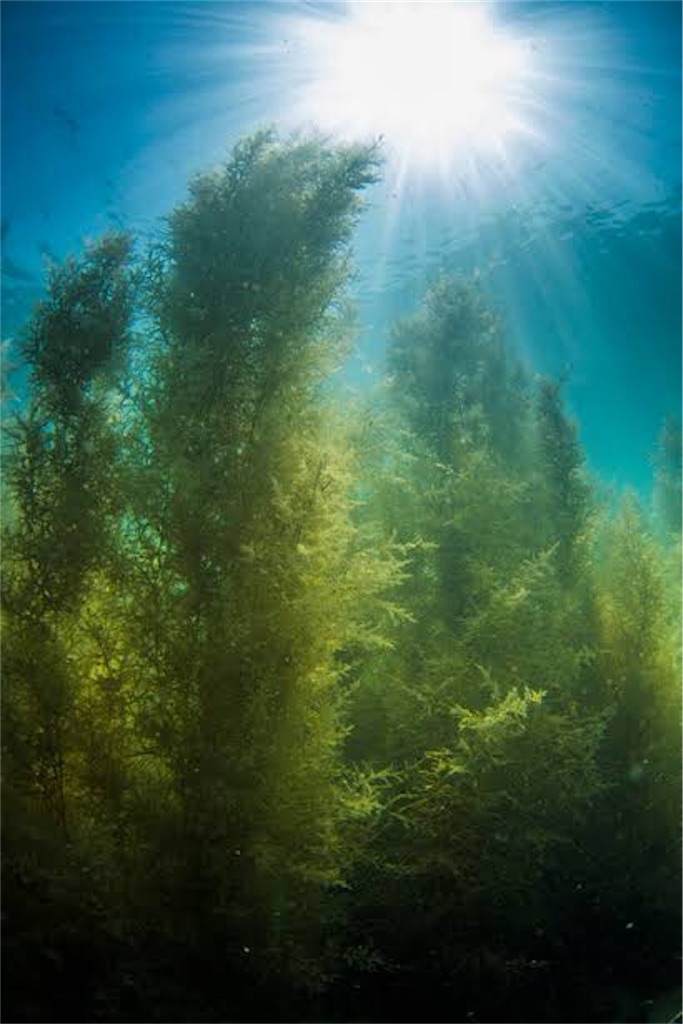 f:id:mfgpAJMBstyle:20190518103936j:image