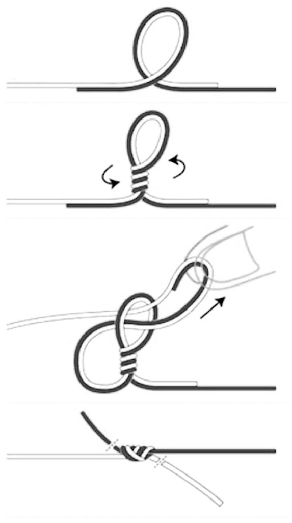 f:id:mfgpAJMBstyle:20190703050036j:image