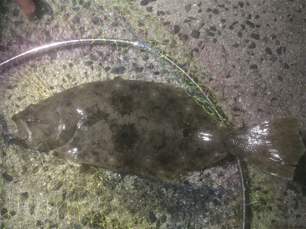 f:id:mfgpAJMBstyle:20191130023308j:image