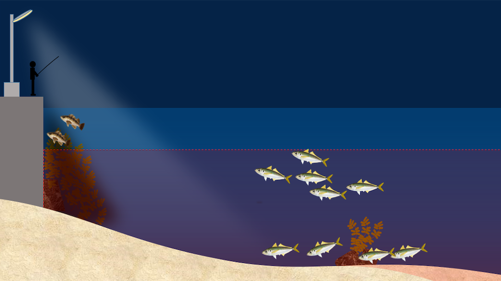 f:id:mfgpAJMBstyle:20210717195436p:image f:id:mfgpAJMBstyle:20210717195436p:image