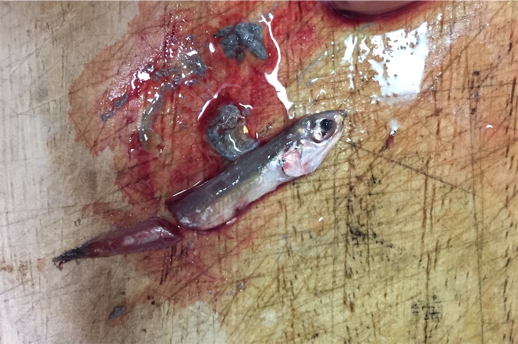 f:id:mfgpAJMBstyle:20220410164409j:image