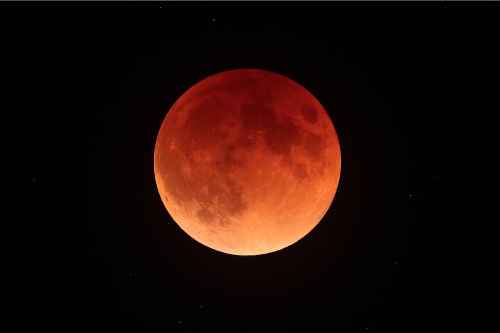 f:id:mfgpAJMBstyle:20221109085827j:image