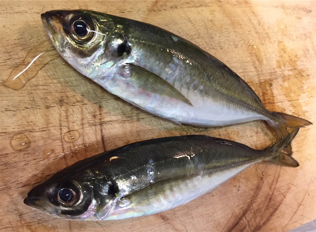 f:id:mfgpAJMBstyle:20221109201438j:image