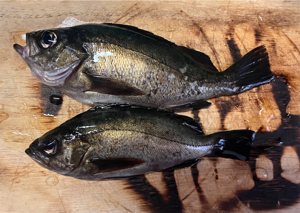 f:id:mfgpAJMBstyle:20230409113119j:image