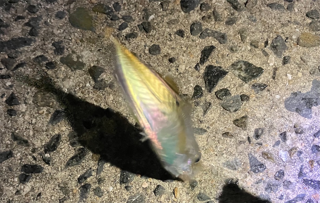 f:id:mfgpAJMBstyle:20230721123249j:image f:id:mfgpAJMBstyle:20230721123249j:image