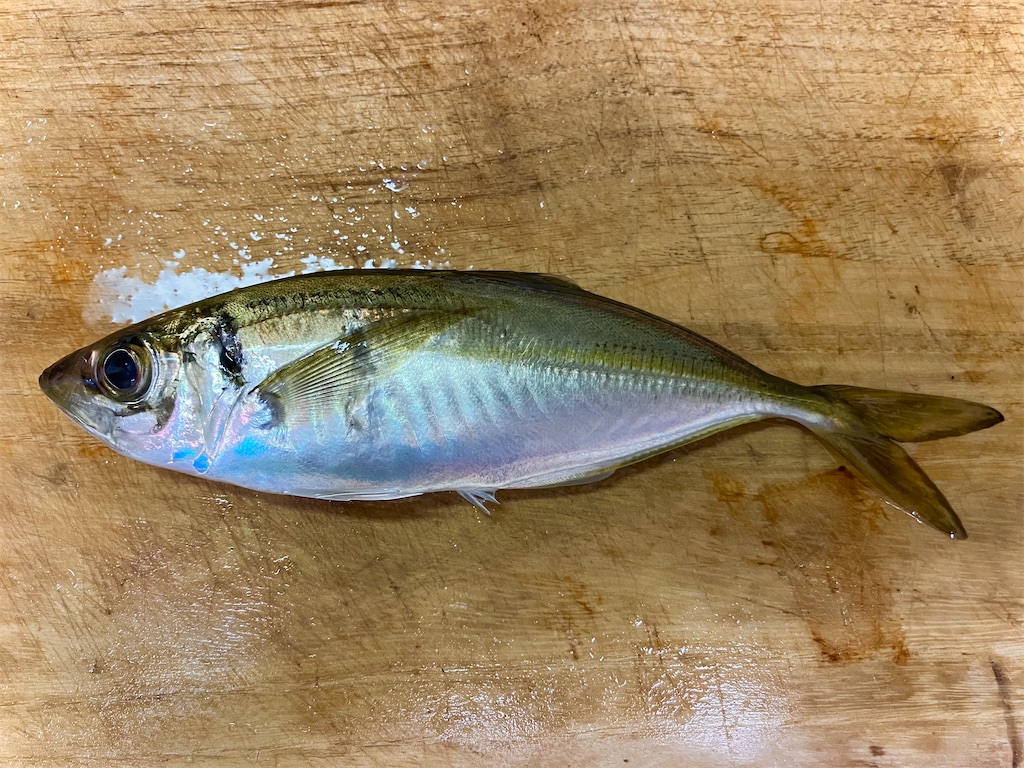 f:id:mfgpAJMBstyle:20230721124246j:image f:id:mfgpAJMBstyle:20230721124246j:image