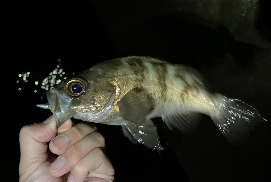 f:id:mfgpAJMBstyle:20230804140227j:image