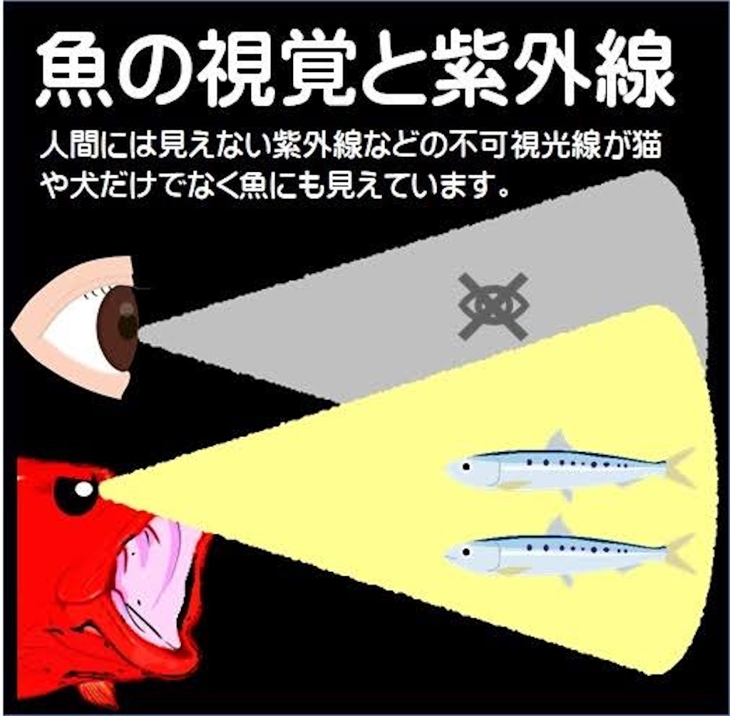 f:id:mfgpAJMBstyle:20231029221325j:image f:id:mfgpAJMBstyle:20231029221325j:image