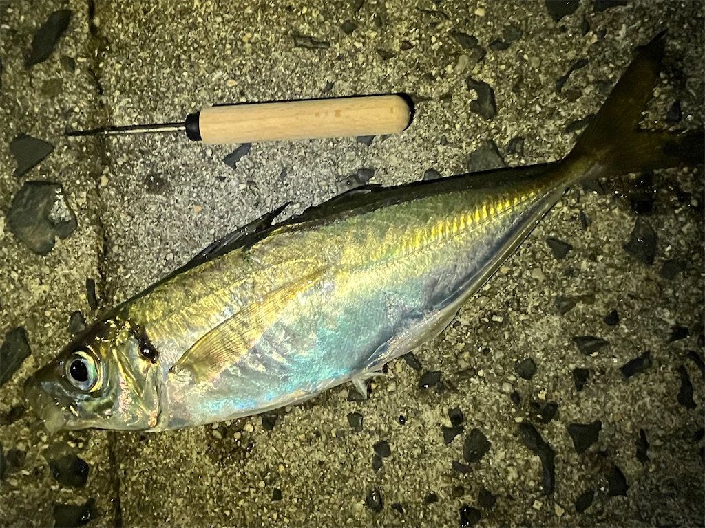 f:id:mfgpAJMBstyle:20250627112847j:image