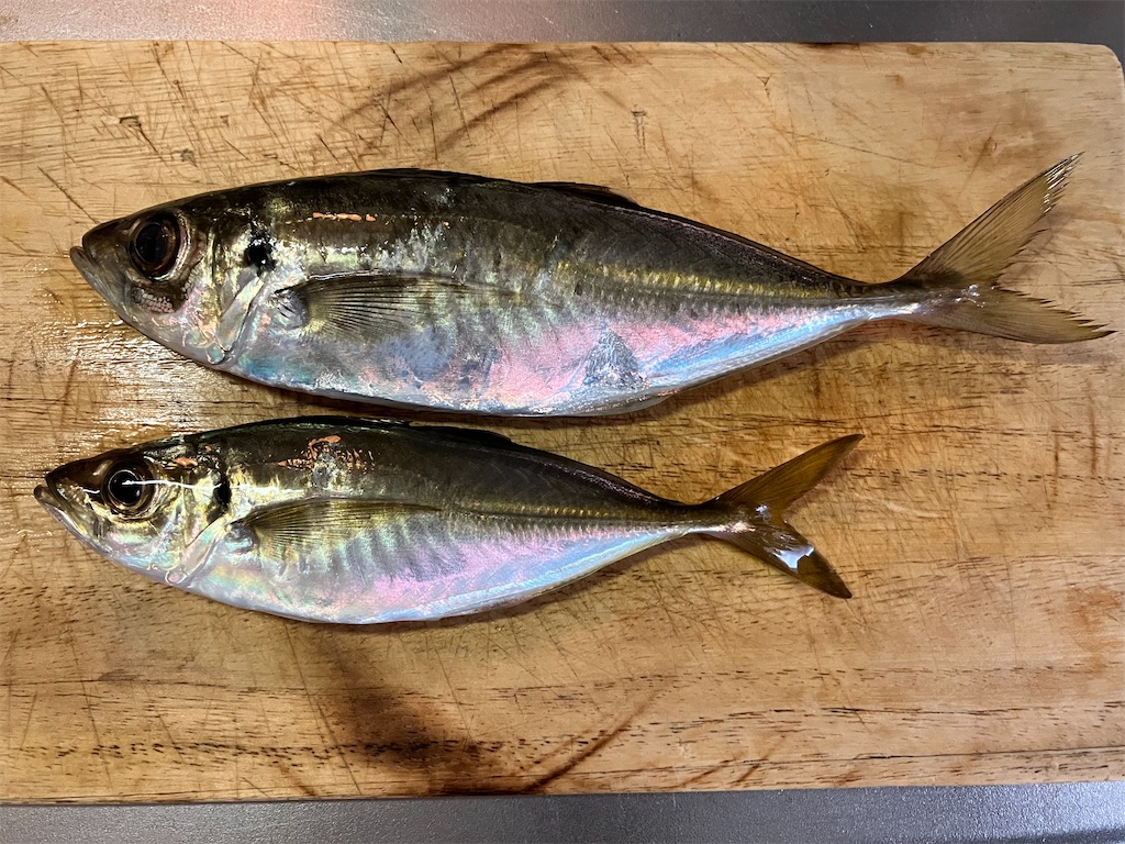 f:id:mfgpAJMBstyle:20250627144145j:image