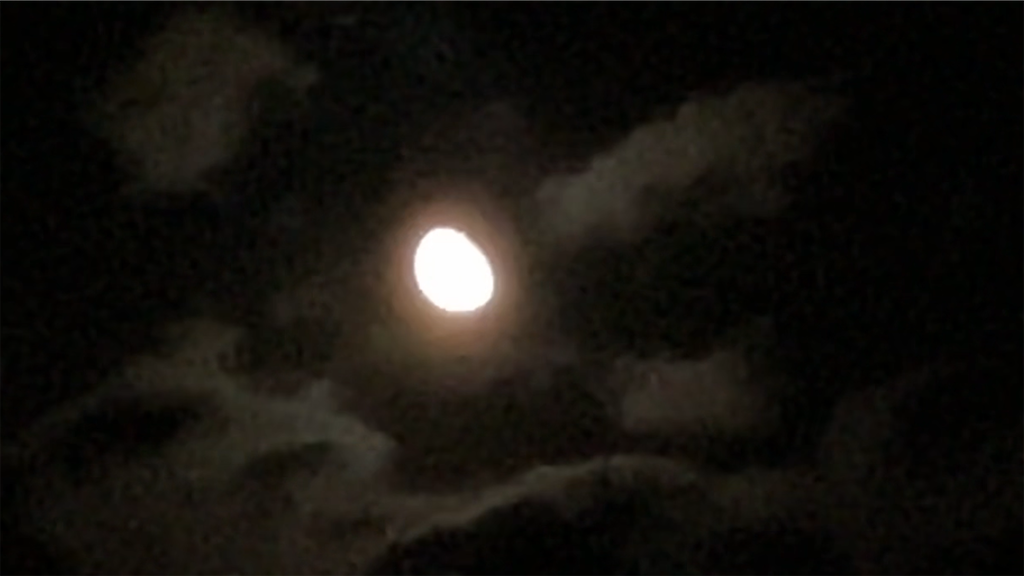 f:id:mfgpAJMBstyle:20250912090925p:image