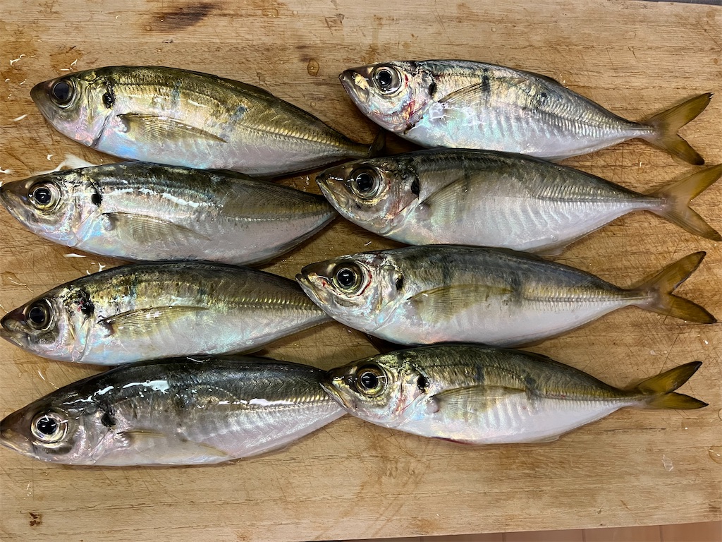 f:id:mfgpAJMBstyle:20251102184949j:image