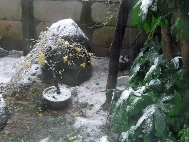 f:id:mfigure:20161216174712j:plain 2016/12/16福井市内は福井市内は初雪01