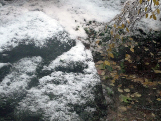 f:id:mfigure:20161216175044j:plain 2016/12/16福井市内は福井市内は初雪02