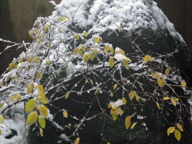 f:id:mfigure:20161216175127j:plain 2016/12/16福井市内は福井市内は初雪03