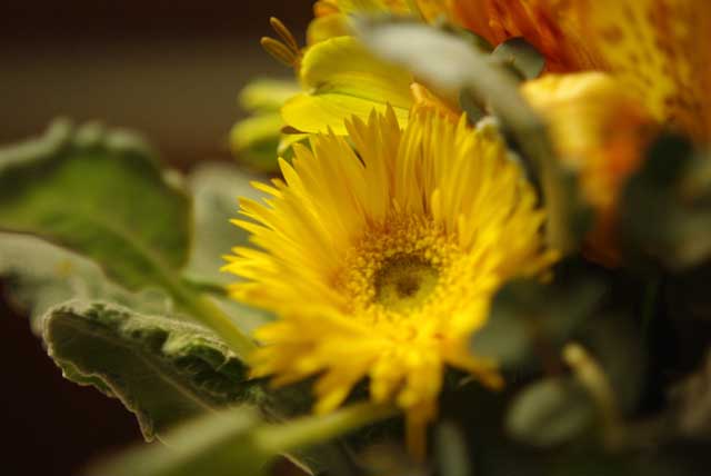 f:id:mfigure:20170321215934j:plain