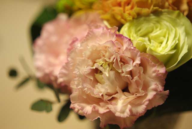 f:id:mfigure:20170321220120j:plain