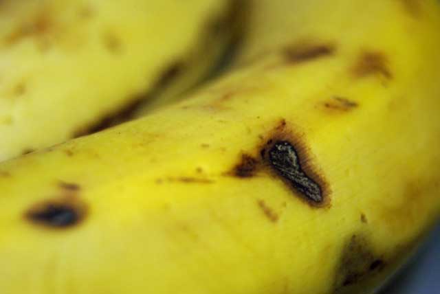 f:id:mfigure:20170330204142j:plain f:id:mfigure:20170330204142j:plain