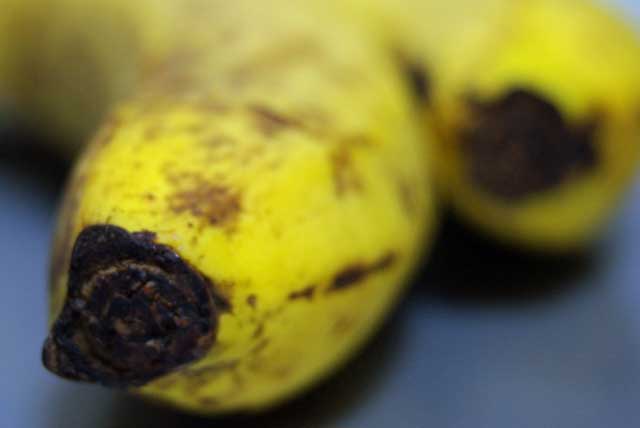 f:id:mfigure:20170330204239j:plain f:id:mfigure:20170330204239j:plain