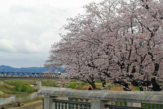 f:id:mfigure:20170408182121j:plain f:id:mfigure:20170408182121j:plain