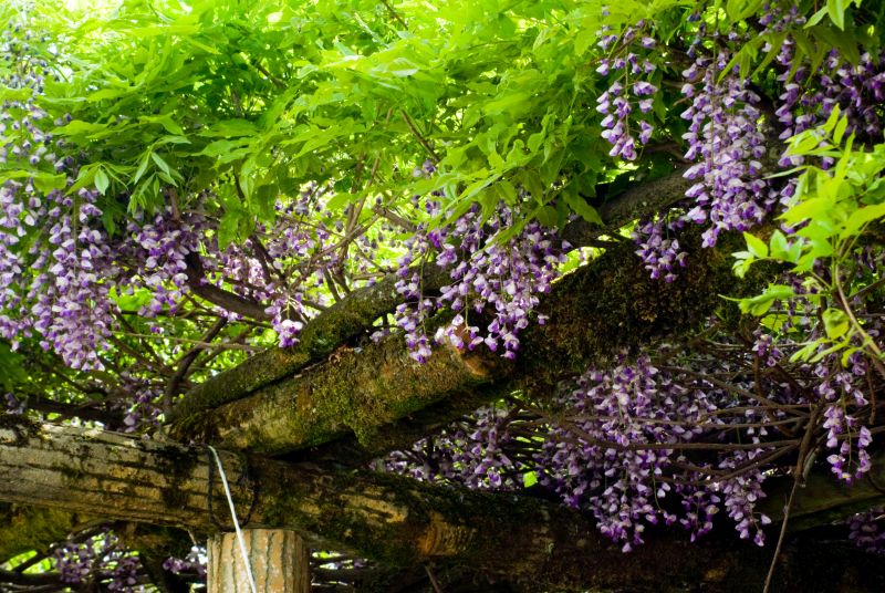 f:id:mfigure:20170505153519j:plain f:id:mfigure:20170505153519j:plain