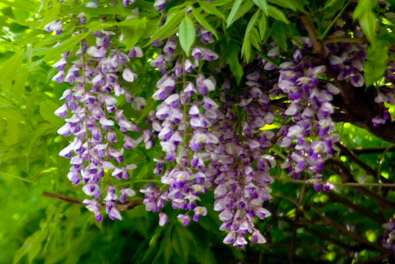 f:id:mfigure:20170505154155j:plain f:id:mfigure:20170505154155j:plain