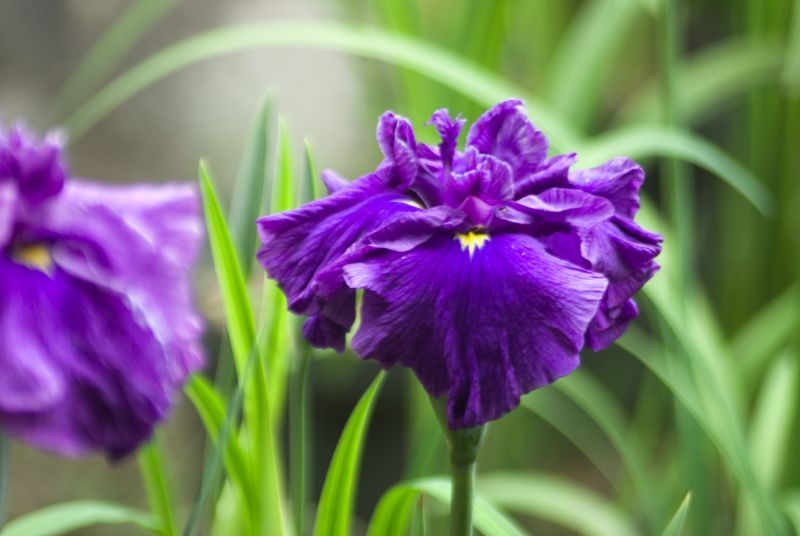 f:id:mfigure:20170620160358j:plain f:id:mfigure:20170620160358j:plain