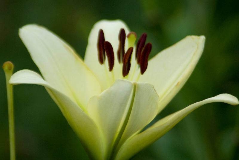 f:id:mfigure:20170701152342j:plain f:id:mfigure:20170701152342j:plain