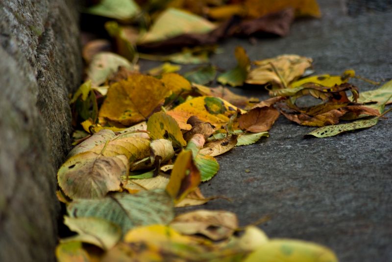 f:id:mfigure:20170908165309j:plain f:id:mfigure:20170908165309j:plain