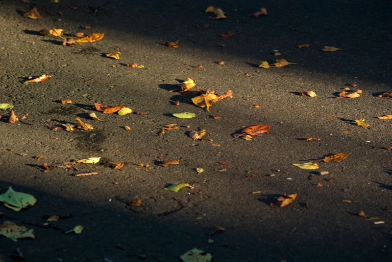 f:id:mfigure:20170908171547j:plain f:id:mfigure:20170908171547j:plain