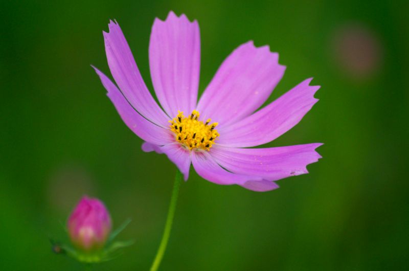 f:id:mfigure:20170913175353j:plain f:id:mfigure:20170913175353j:plain