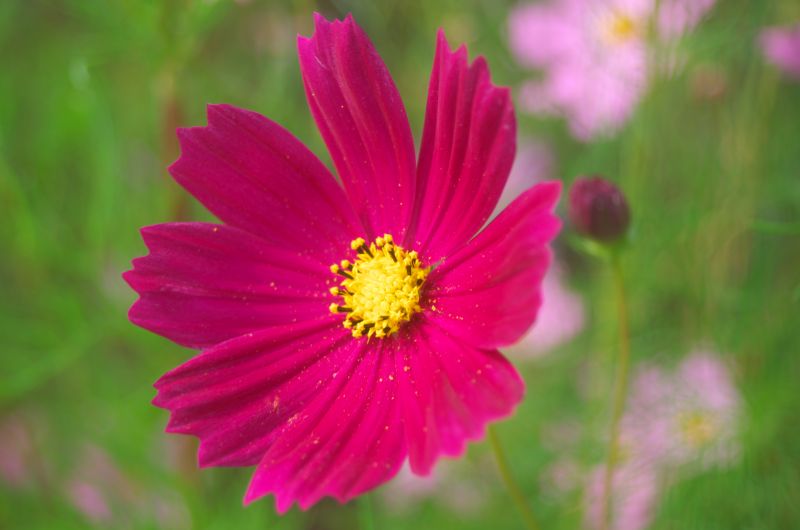 f:id:mfigure:20170924151114j:plain f:id:mfigure:20170924151114j:plain