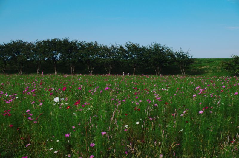 f:id:mfigure:20171005151237j:plain