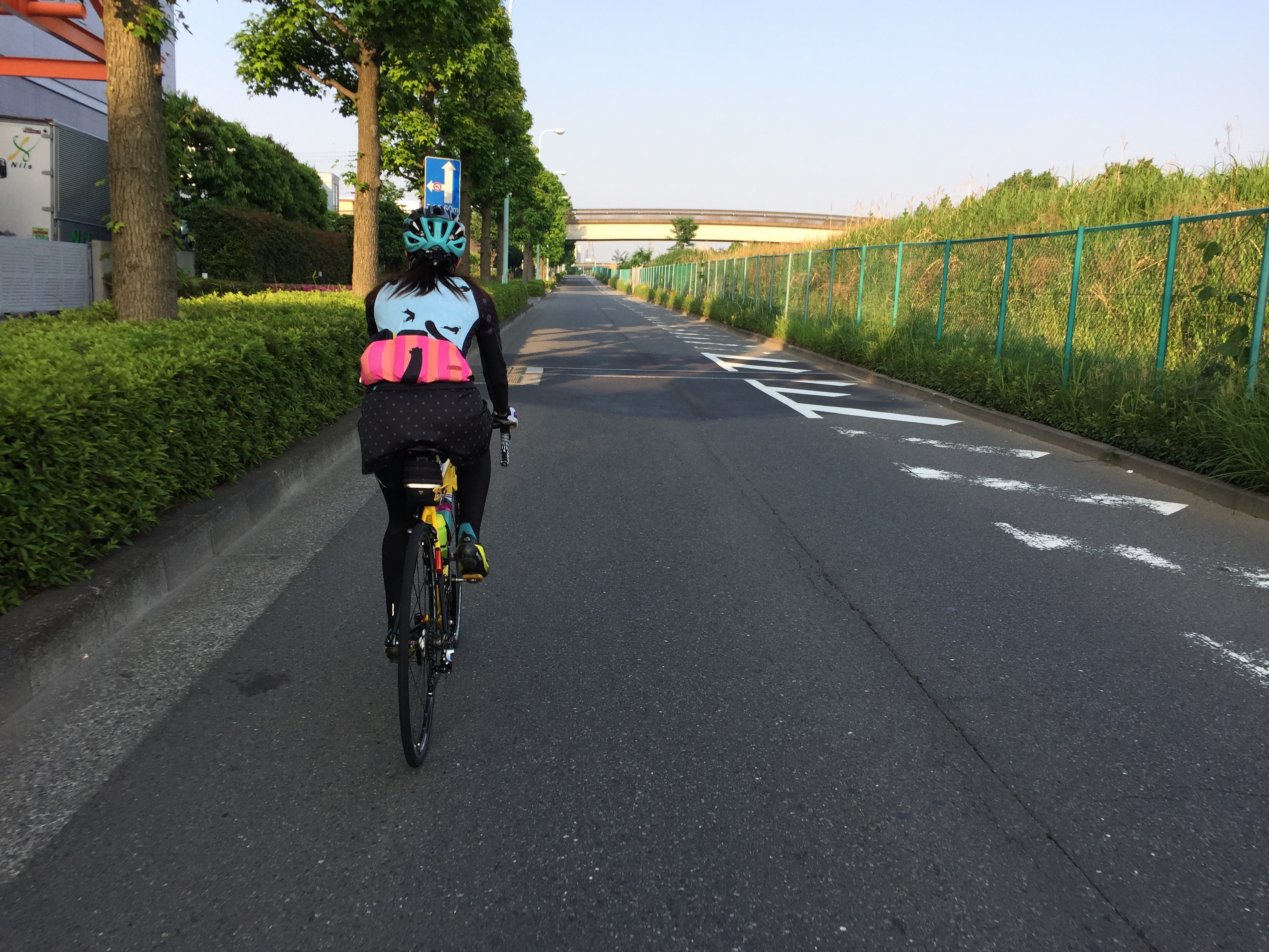 f:id:mfj_maap_jp:20170525235630j:image f:id:mfj_maap_jp:20170525235630j:image