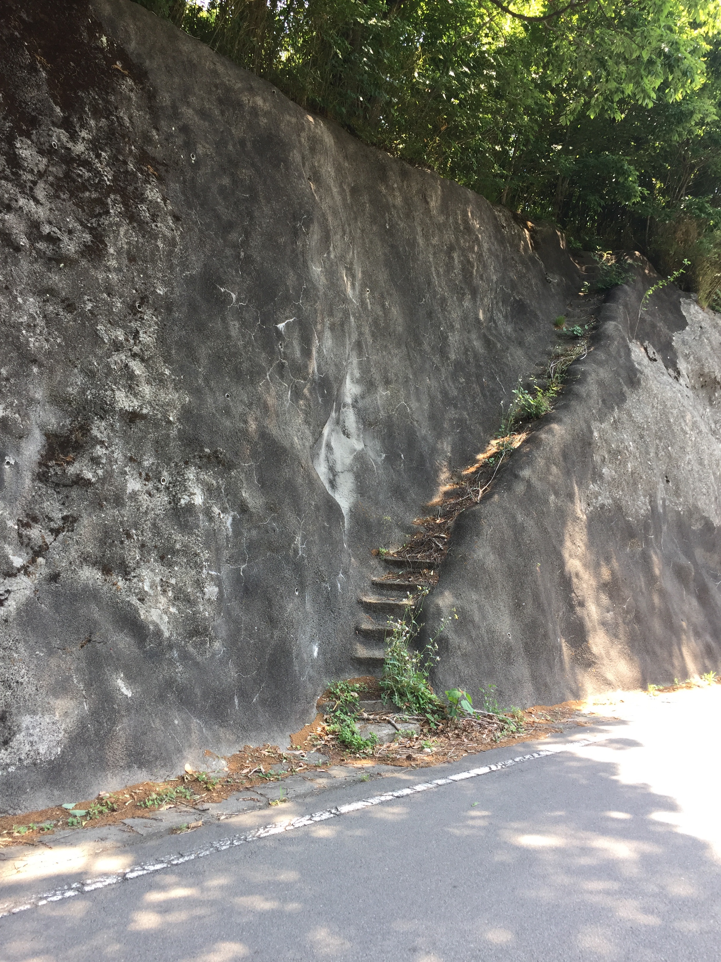 f:id:mfj_maap_jp:20170526002500j:image f:id:mfj_maap_jp:20170526002500j:image