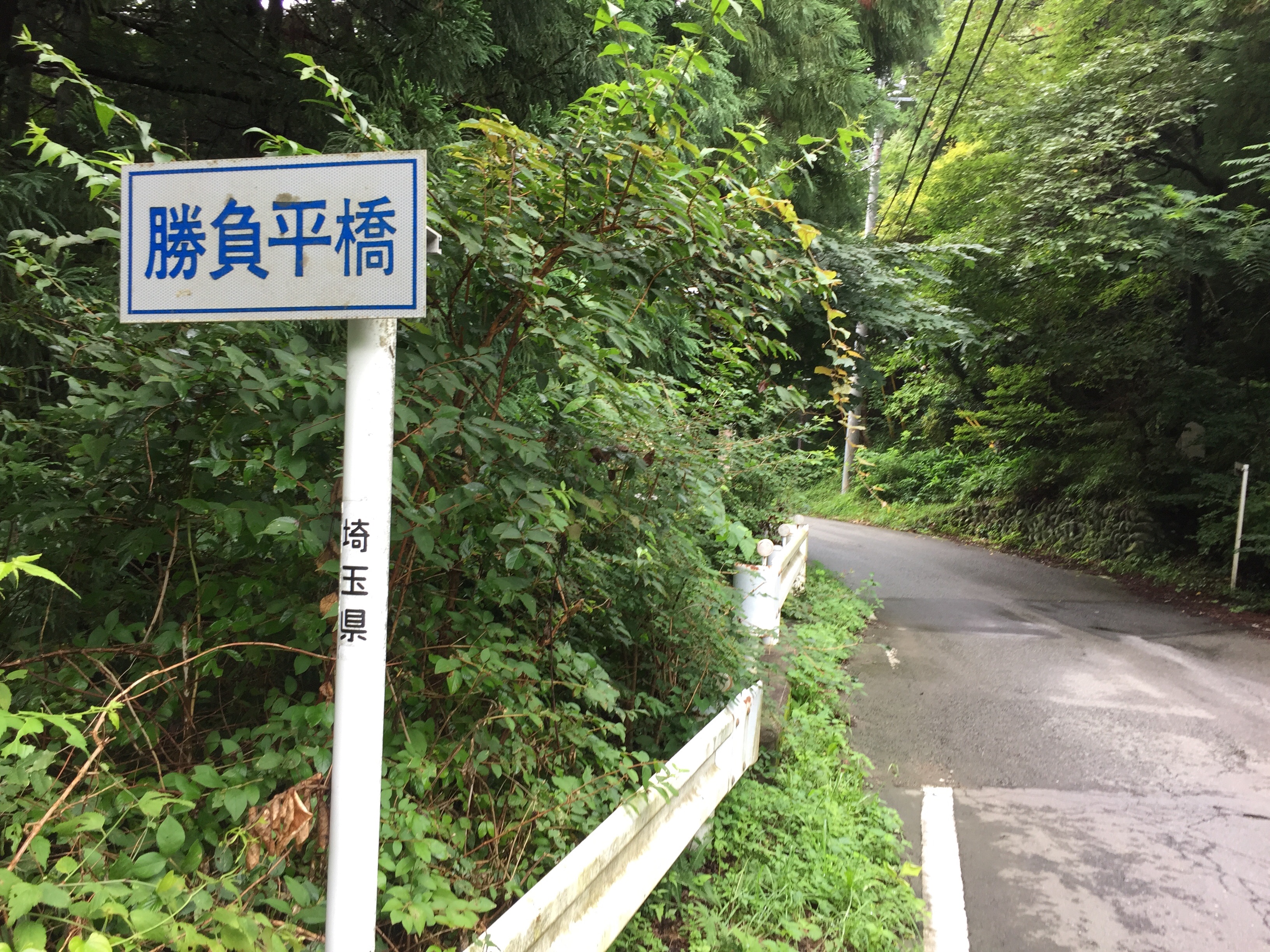 f:id:mfj_maap_jp:20170809234101j:image f:id:mfj_maap_jp:20170809234101j:image