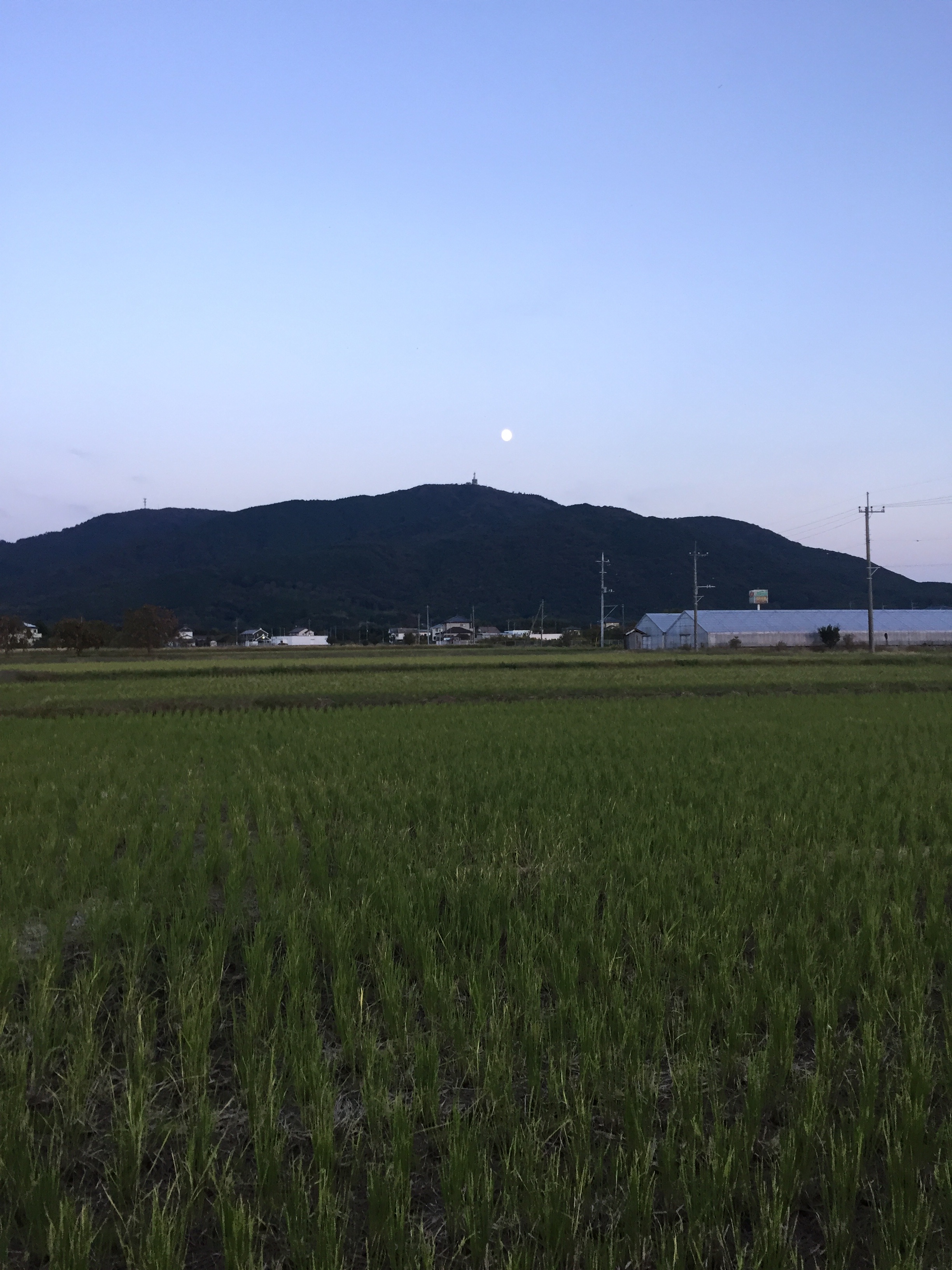 f:id:mfj_maap_jp:20181030154233j:image f:id:mfj_maap_jp:20181030154233j:image