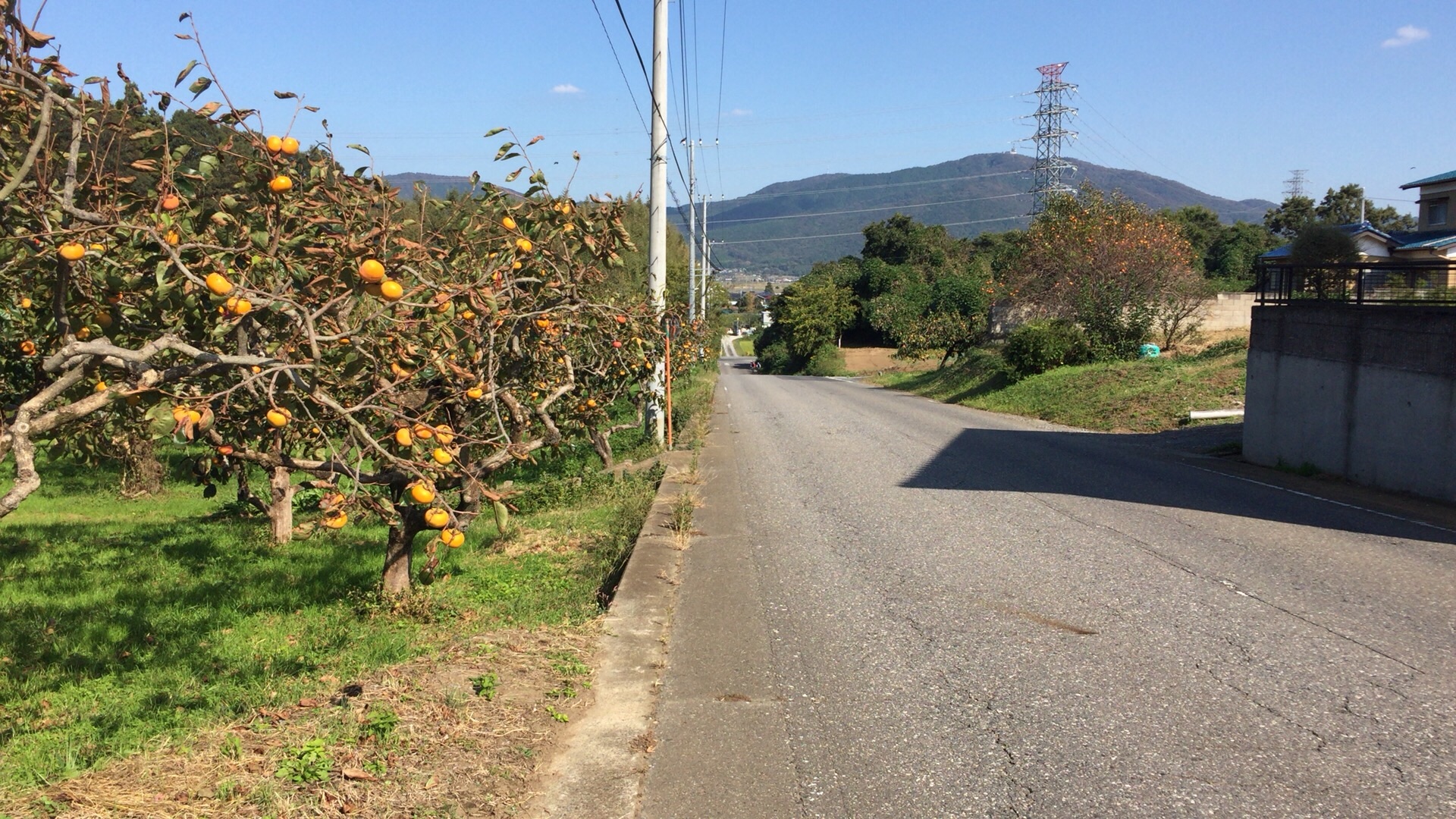 f:id:mfj_maap_jp:20181030154245j:image f:id:mfj_maap_jp:20181030154245j:image