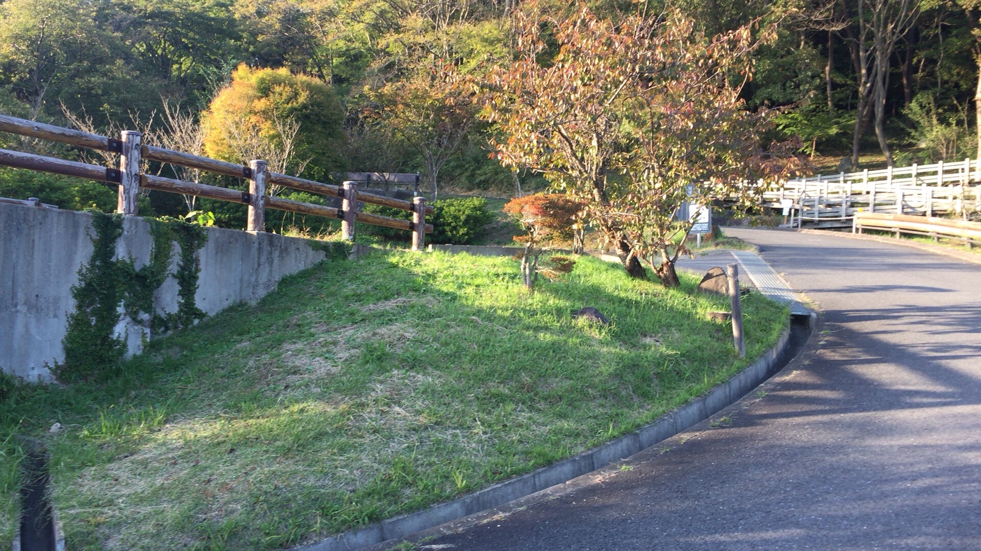 f:id:mfj_maap_jp:20181030154418j:image f:id:mfj_maap_jp:20181030154418j:image