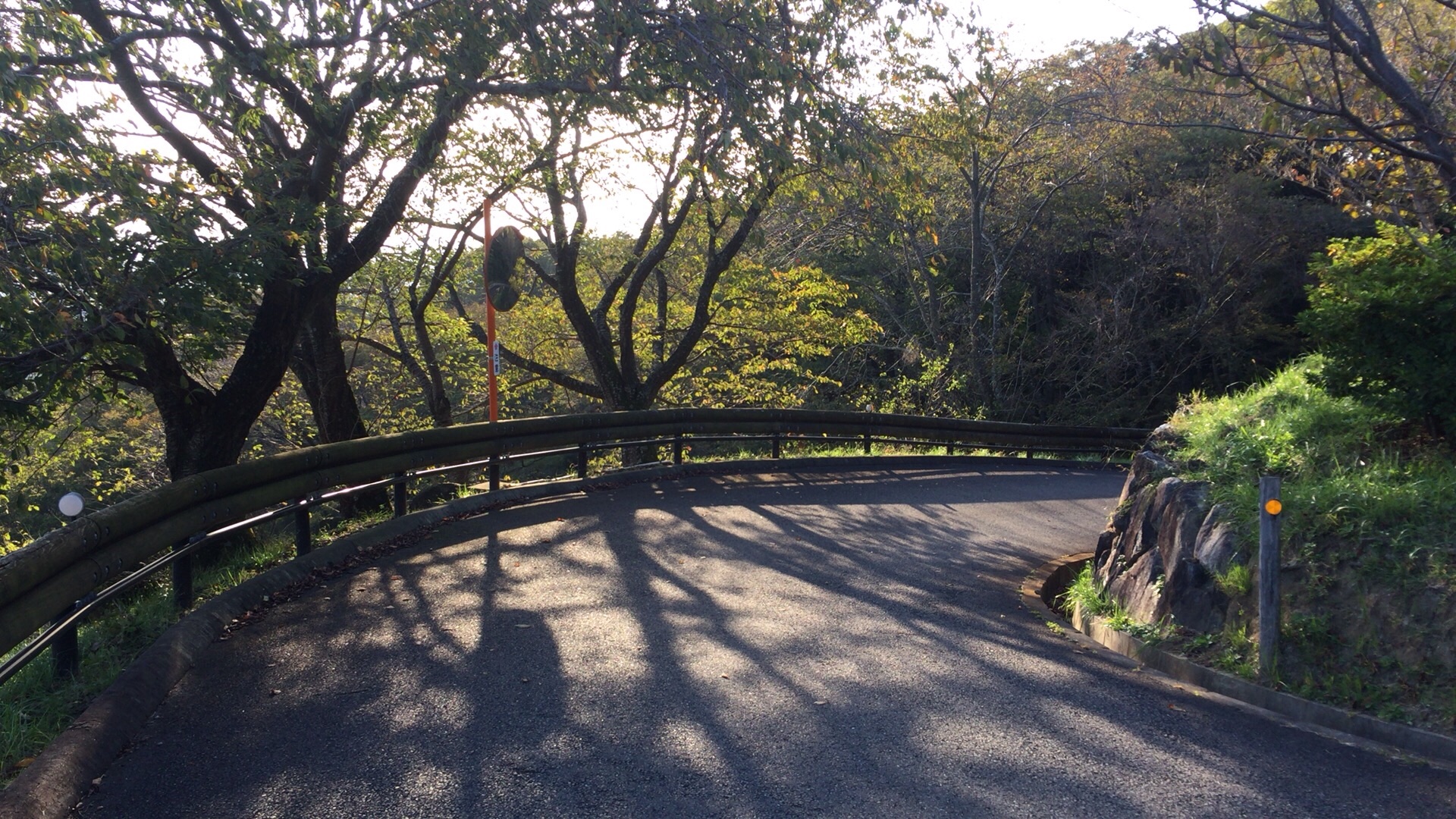 f:id:mfj_maap_jp:20181030154433j:image f:id:mfj_maap_jp:20181030154433j:image