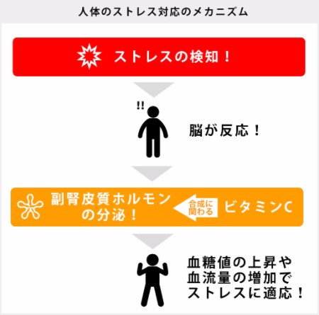 f:id:mfl1225:20180530110632p:plain f:id:mfl1225:20180530110632p:plain