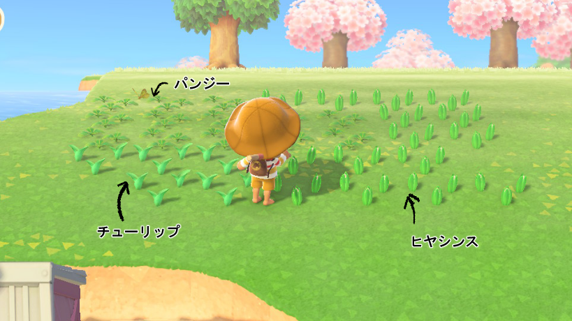 f:id:mfn_g:20210309163419p:plain